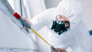 Best Residential Pest Control  in Long Branch, NJ